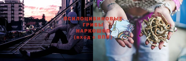 mix Богородицк