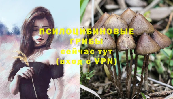 марки lsd Богданович