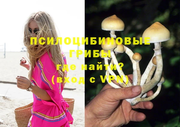 mix Богородицк