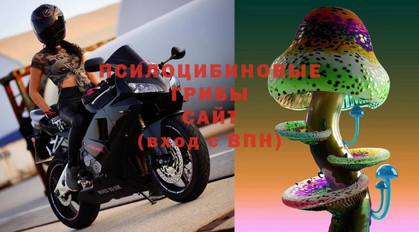 сатива Богородск