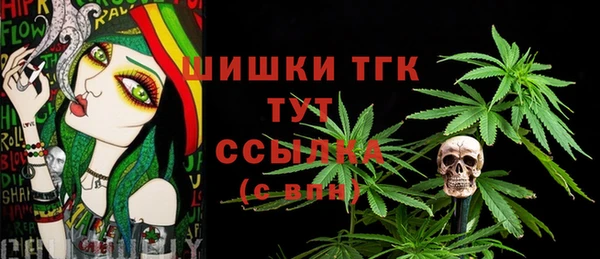 mix Богородицк