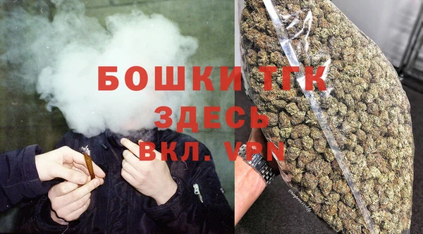mix Богородицк